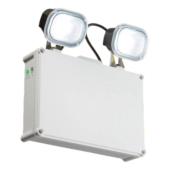 Emergency LED Twin Floodlight