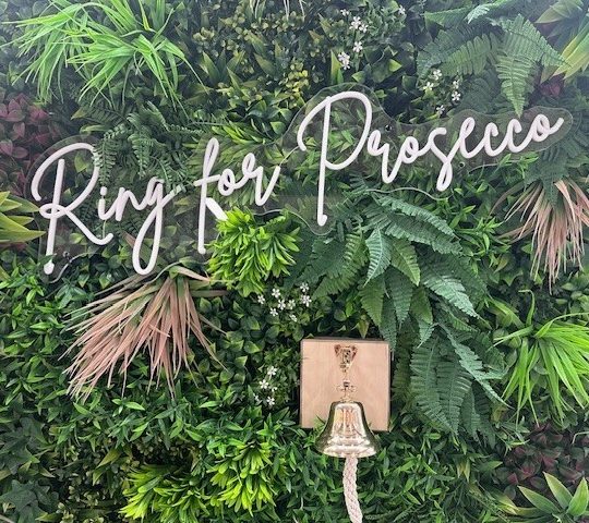 Neon Sign (LED) - Ring for Prosecco (White)