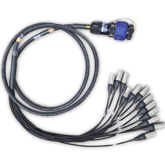 Veam 12 Channel - XLR(M) Tails 3m