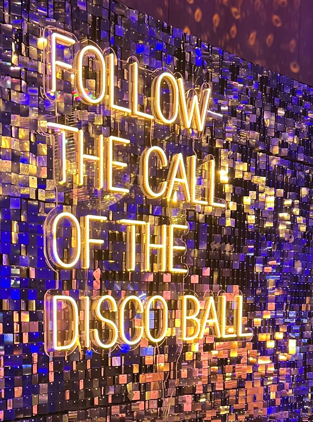 Neon White Sign (LED)   -'Follow The Call Of The Disco Ball'