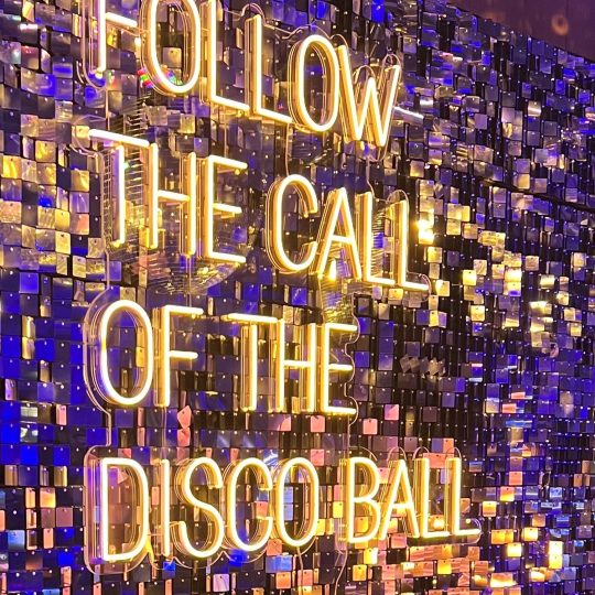 Neon White Sign (LED)   -'Follow The Call Of The Disco Ball'