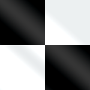 Panel 4' x 2' (Black & White)