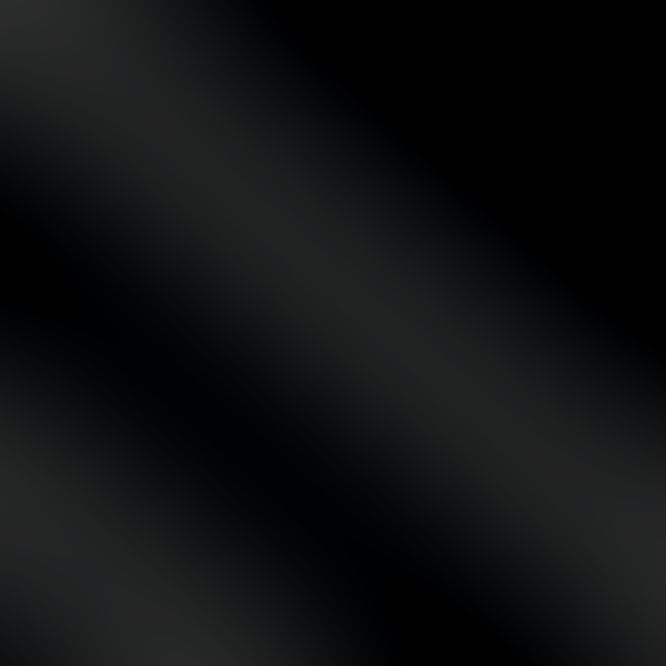 Panel 2' x 2' (Black)