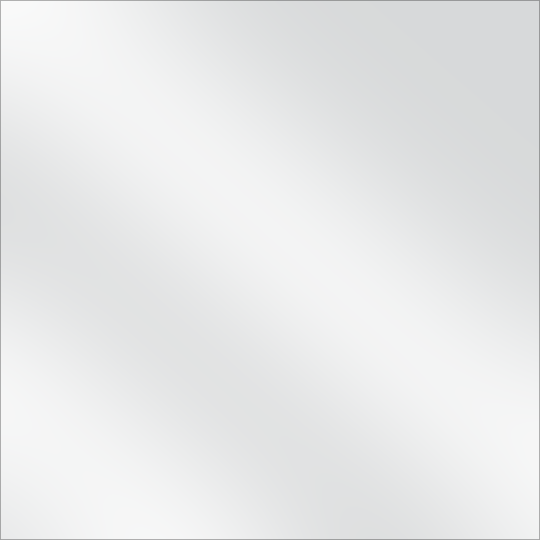 Panel 4' x 2' (White)
