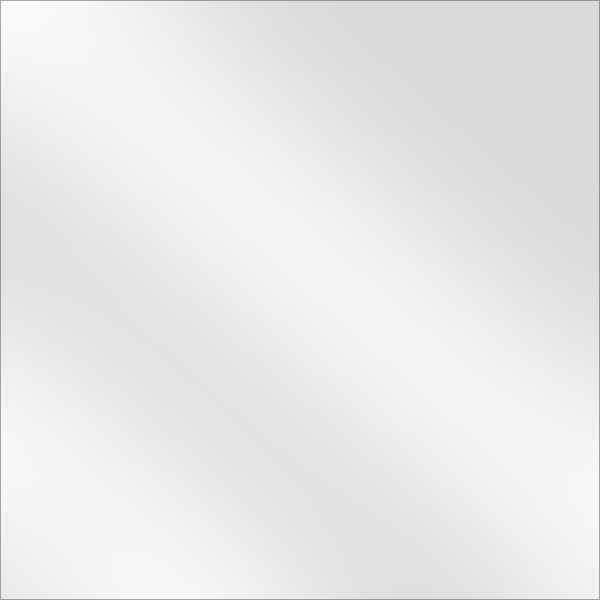 Panel 4' x 2' (White)