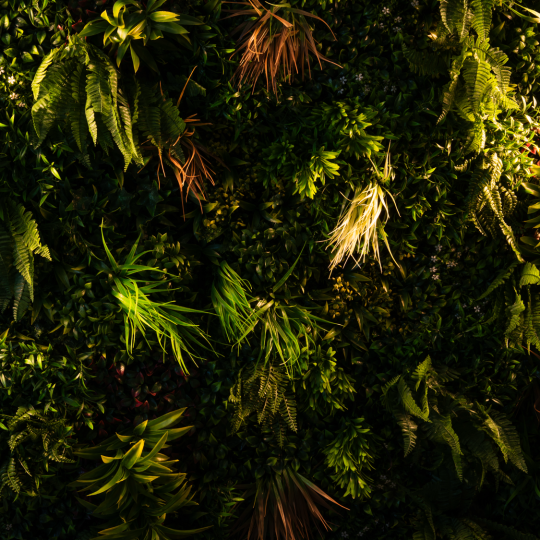Foliage Backdrop Assembly