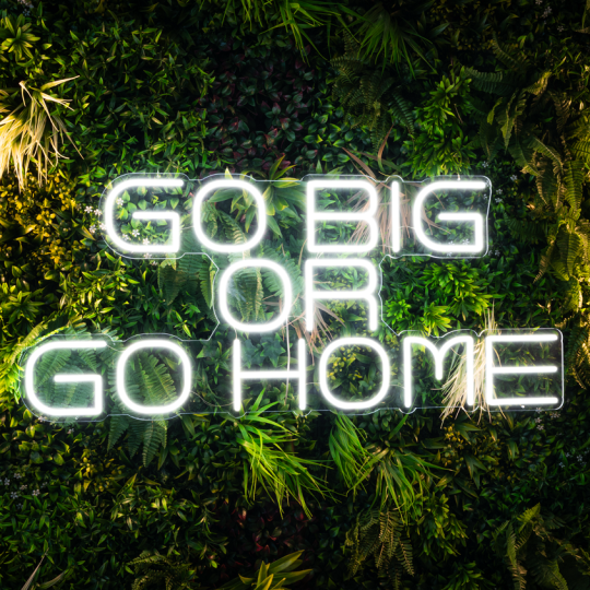 Neon White Sign (LED)   -'GO BIG OR GO HOME'
