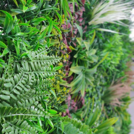 Foliage Panels